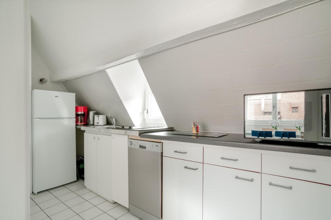 Appartement Loft Colmar