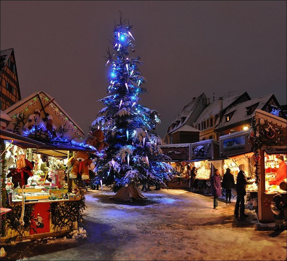 The Family Industry Appartamento Colmar
