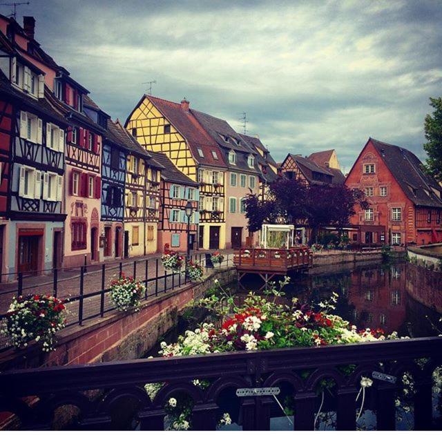 Cosy And Appartamento Colmar