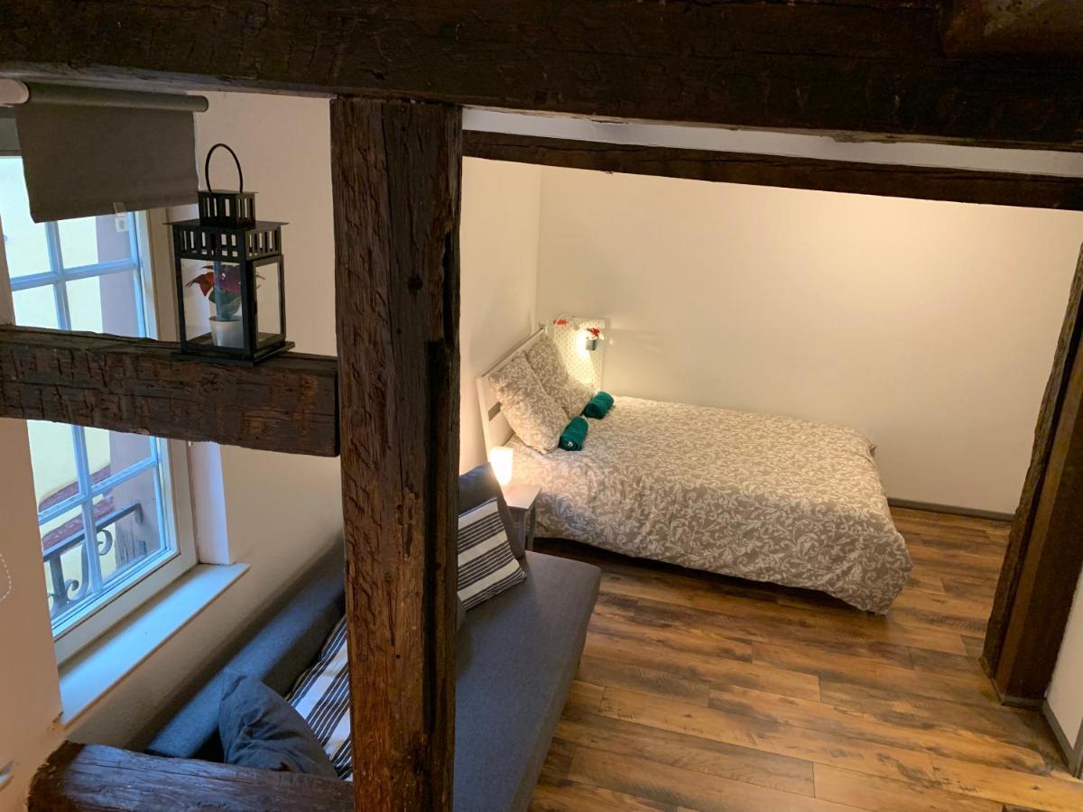 Appartamento Historical Town Center Cosy Flat Colmar