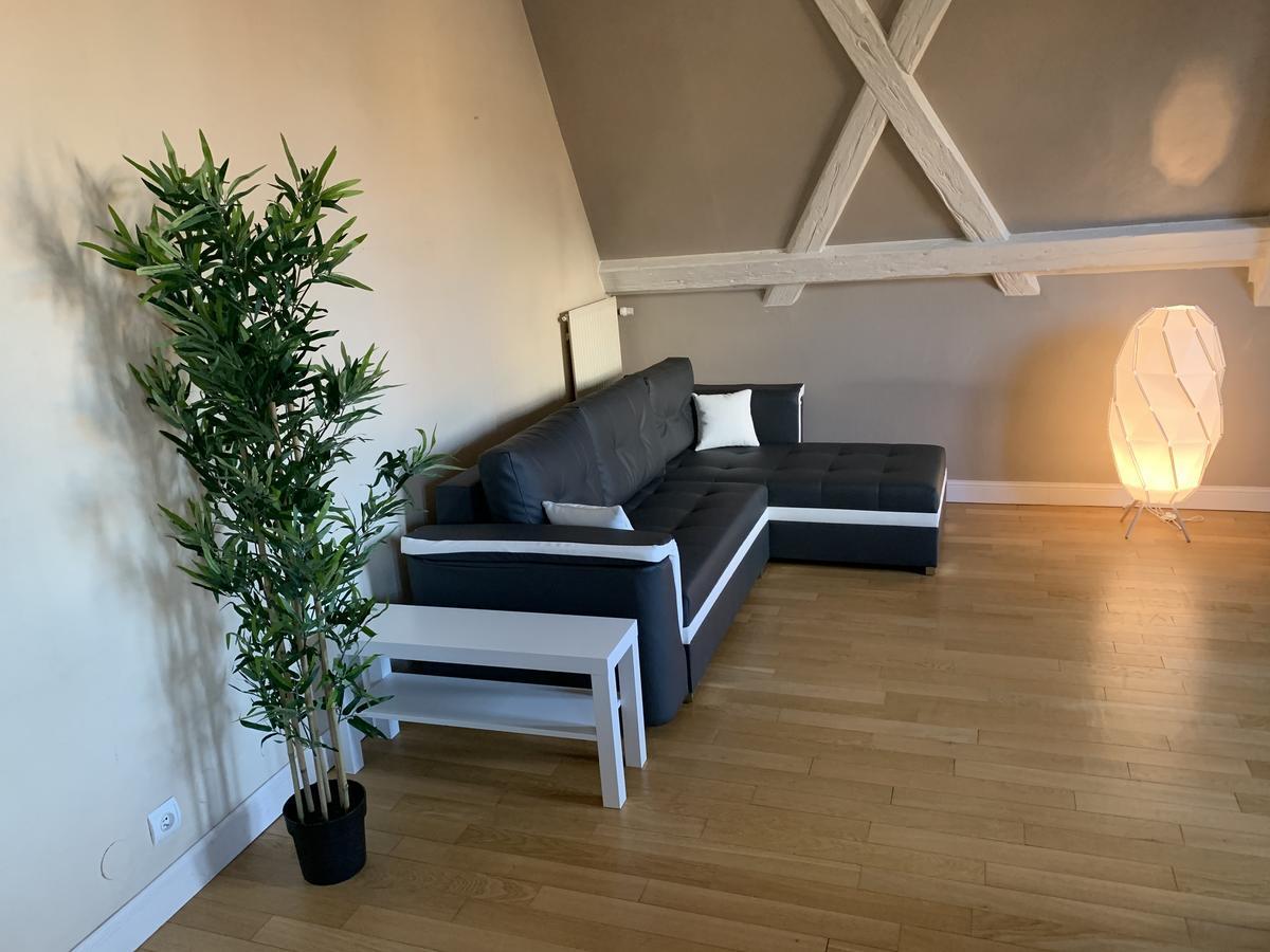 Apartment Historical Town Center Spacious Flat Colmar