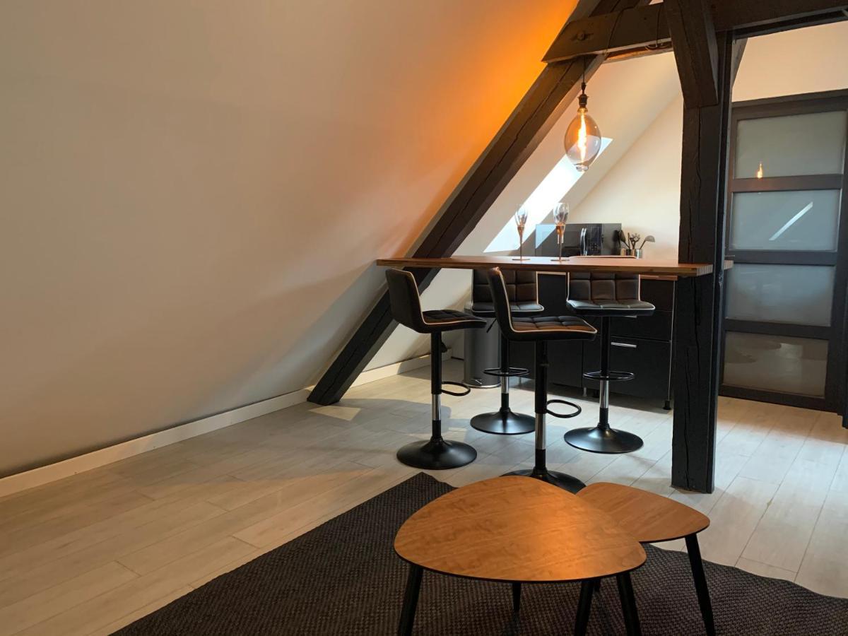 Cocoon Loft Colmar
