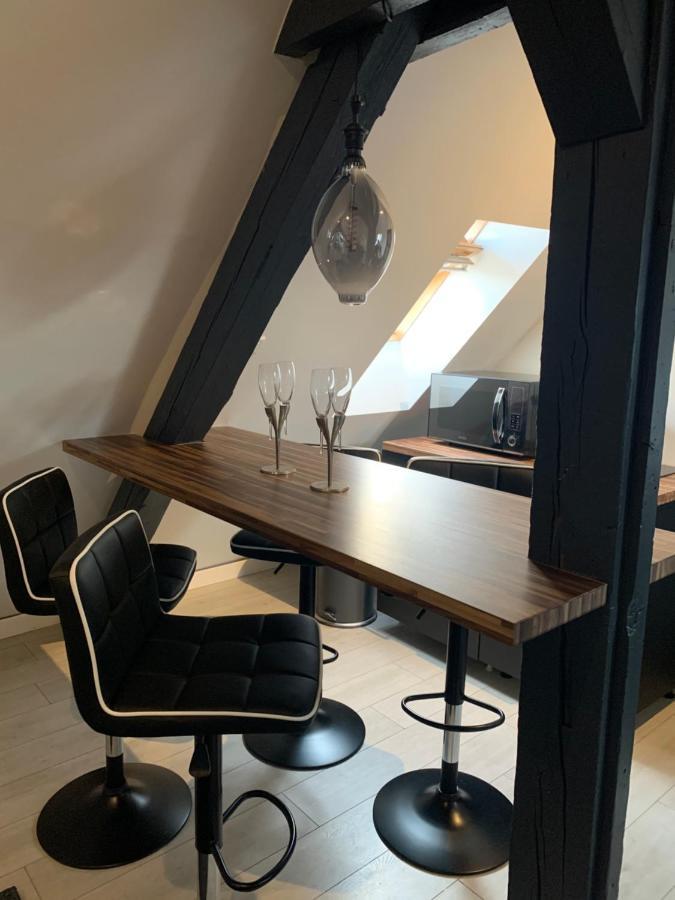 Appartement Cocoon Loft Colmar