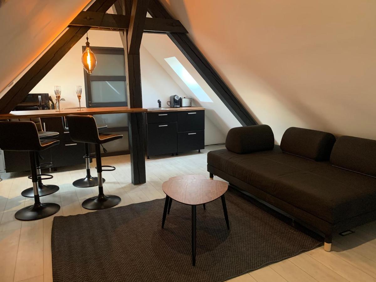 Cocoon Loft Appartement *