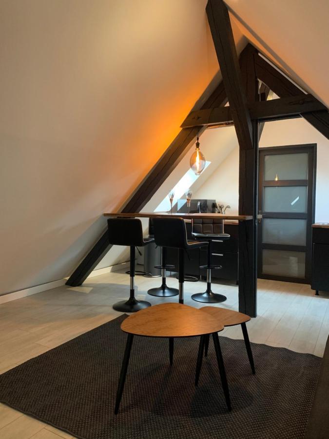 Cocoon Loft Colmar
