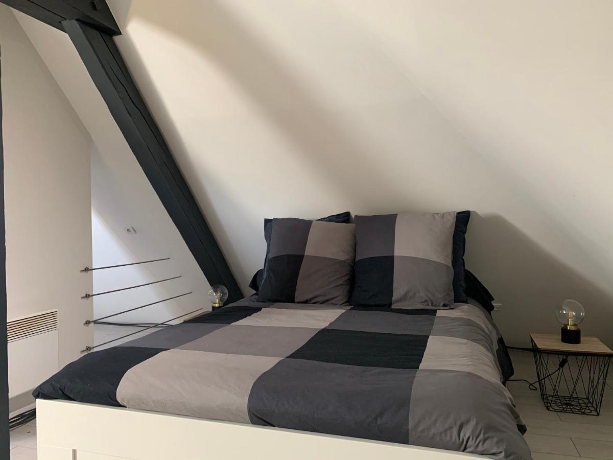 Cocoon Loft Appartement *