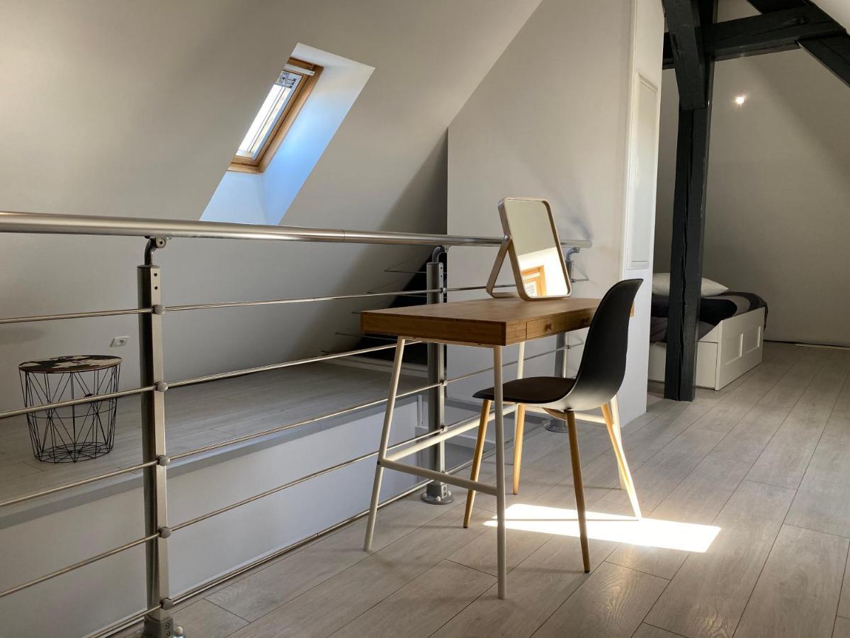 Cocoon Loft Appartement Colmar