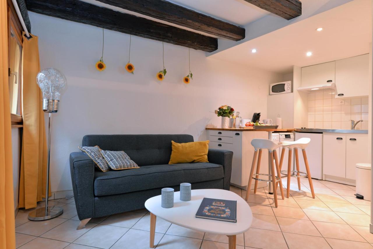 Appartement La Terrasse Sur Cour Colmar